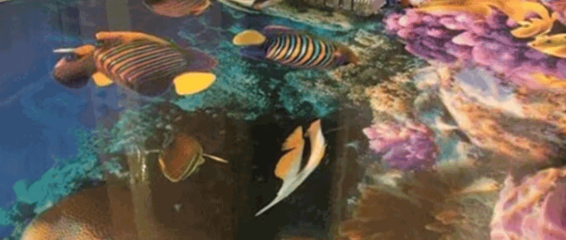 Cool 3D Epoxy Flooring Designs Images